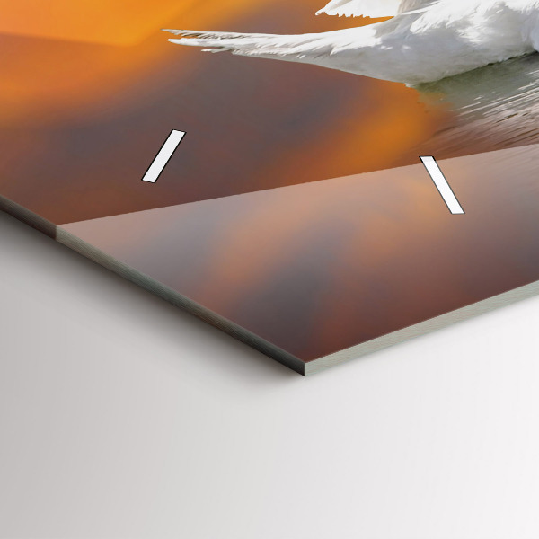 Orologi orizzontali Cigni innamorati