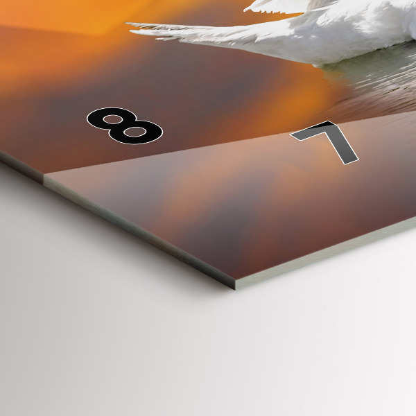 Orologi orizzontali Cigni innamorati