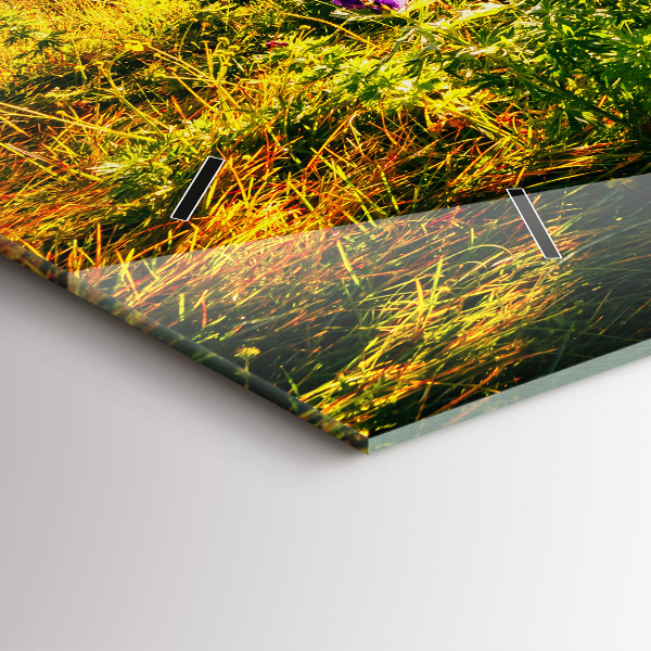 Orologi orizzontali Prato di lavanda