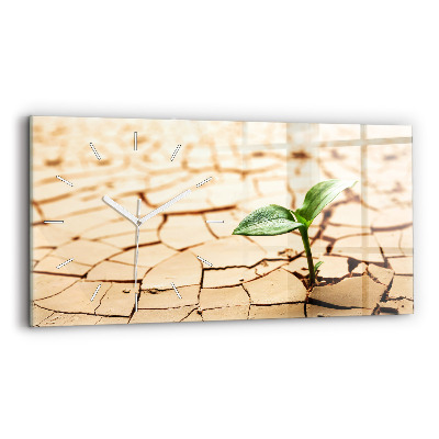 Orologio rettangolare Una pianta in terreno secco