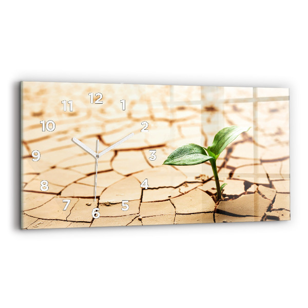 Orologio rettangolare Una pianta in terreno secco