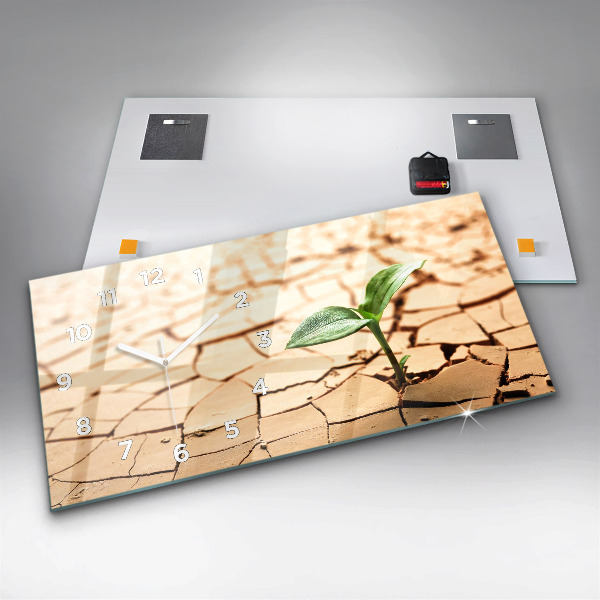 Orologio rettangolare Una pianta in terreno secco