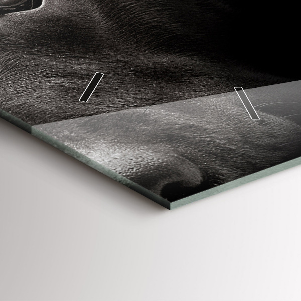 Orologio rettangolare Cane e gatto Scottish Fold