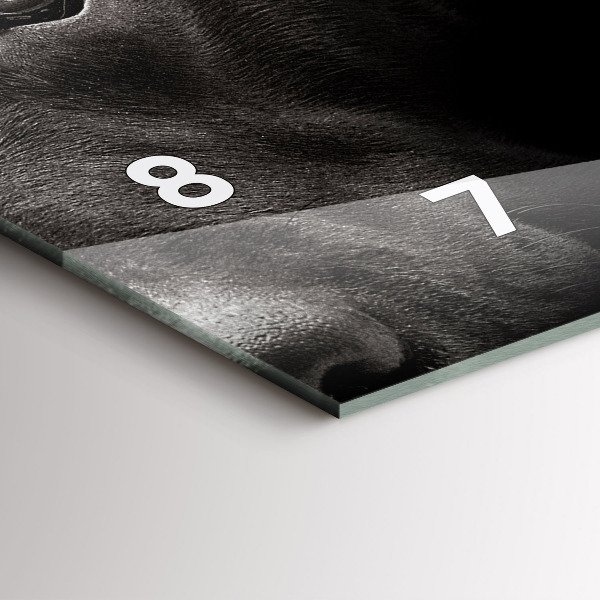 Orologio rettangolare Cane e gatto Scottish Fold