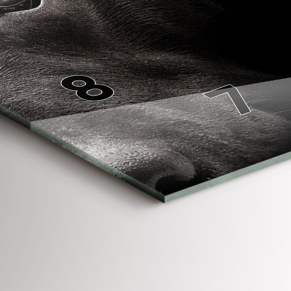 Orologio rettangolare Cane e gatto Scottish Fold