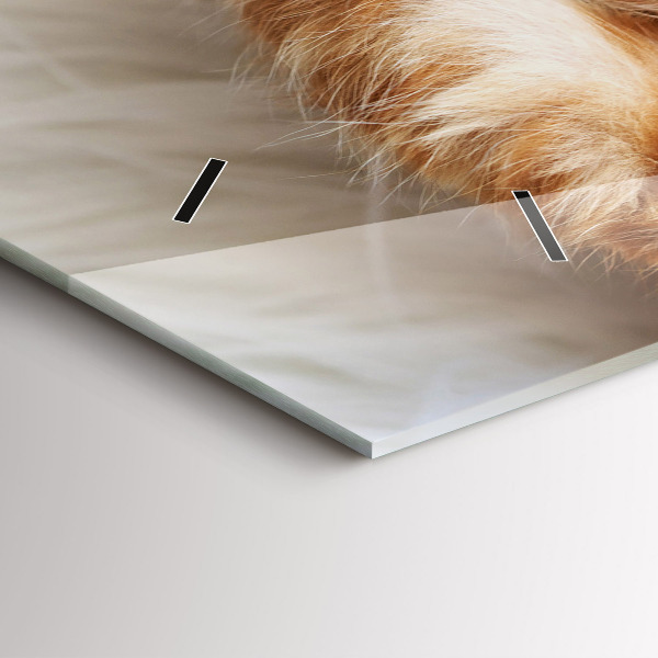 Orologio rettangolare Piccolo gattino addormentato