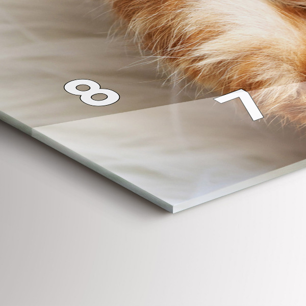 Orologio rettangolare Piccolo gattino addormentato