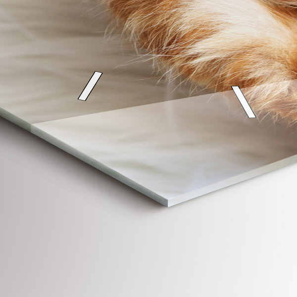 Orologio rettangolare Piccolo gattino addormentato