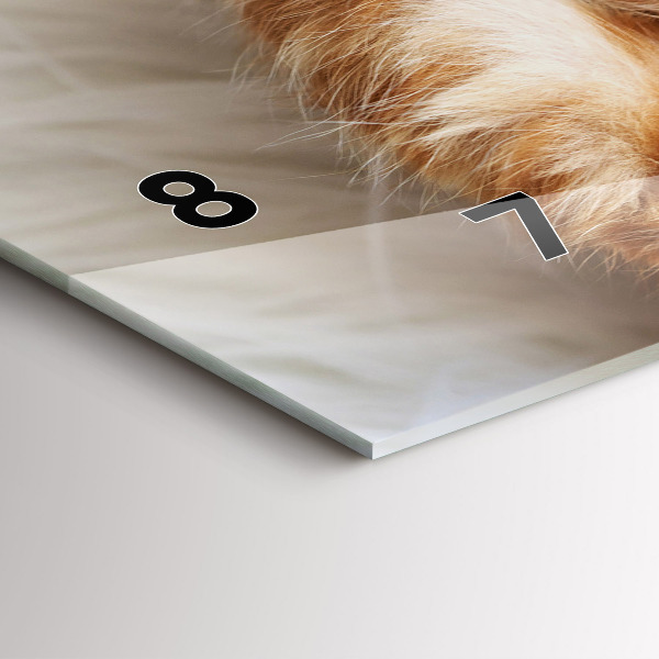 Orologio rettangolare Piccolo gattino addormentato