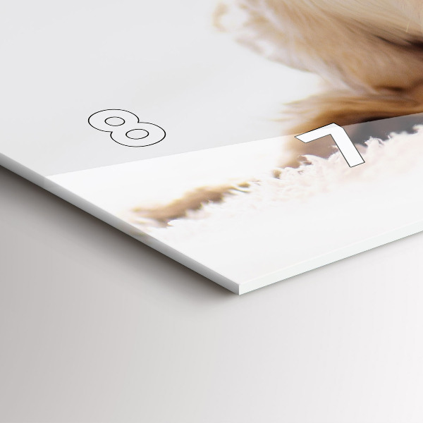 Orologi orizzontali Gatto e cane addormentati