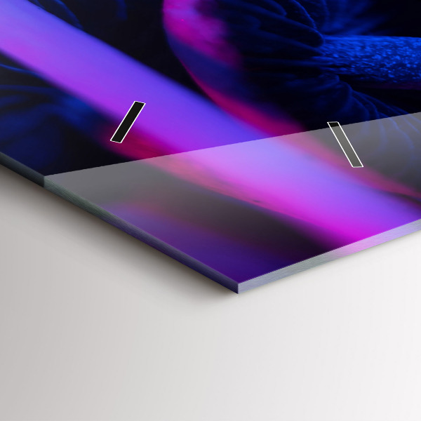 Orologi orizzontali Funghi magici colorati