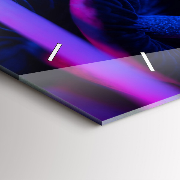 Orologi orizzontali Funghi magici colorati