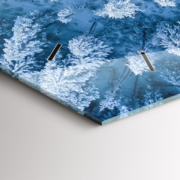 Orologi orizzontali Foresta vista dall'alto Drone