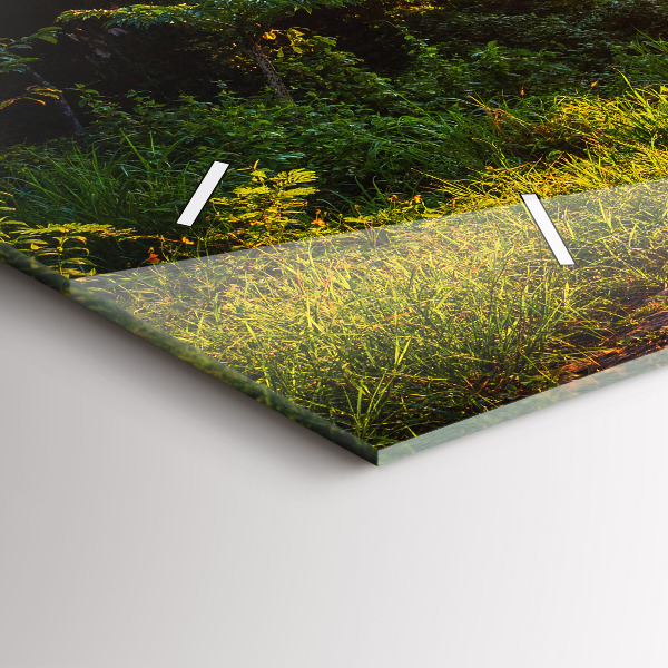 Orologio rettangolare Parco Surat Thani Thailandia