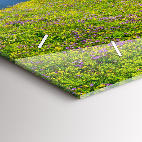 Orologi orizzontali Riserva di Hornstrandir Islanda