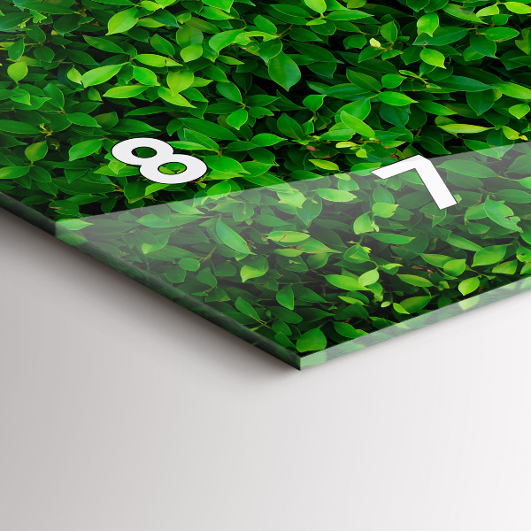 Orologi orizzontali Foglie di siepe