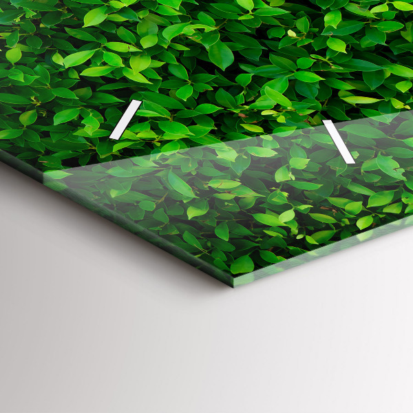 Orologi orizzontali Foglie di siepe