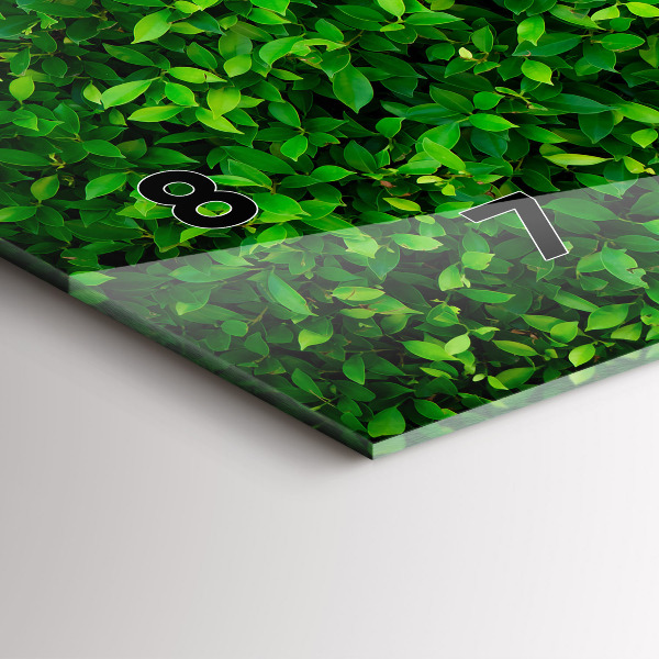 Orologi orizzontali Foglie di siepe