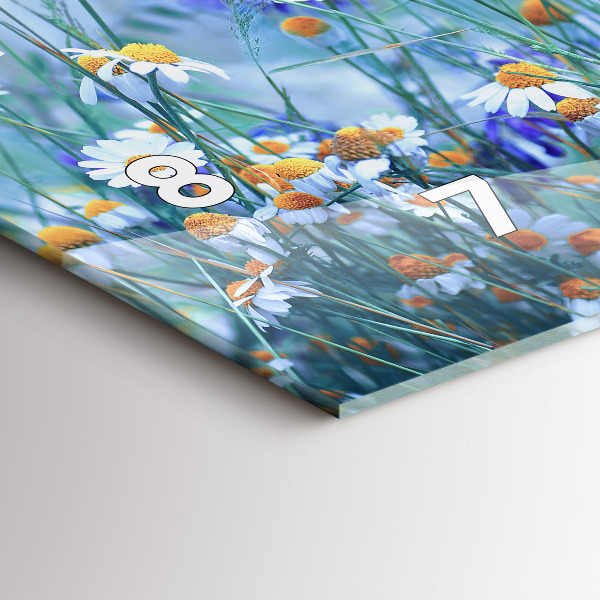 Orologi orizzontali Farfalla nel prato