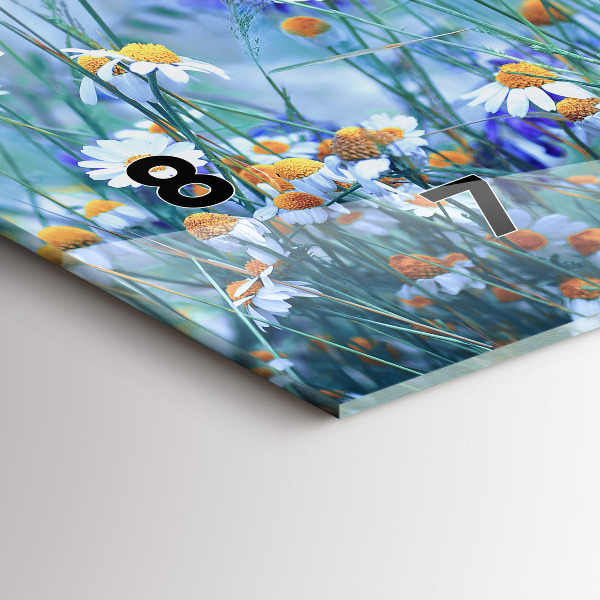 Orologi orizzontali Farfalla nel prato