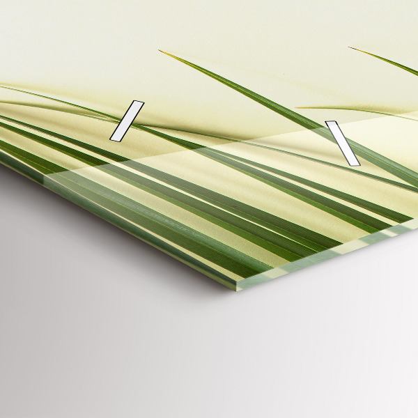 Orologi orizzontali Foglie di Monstera