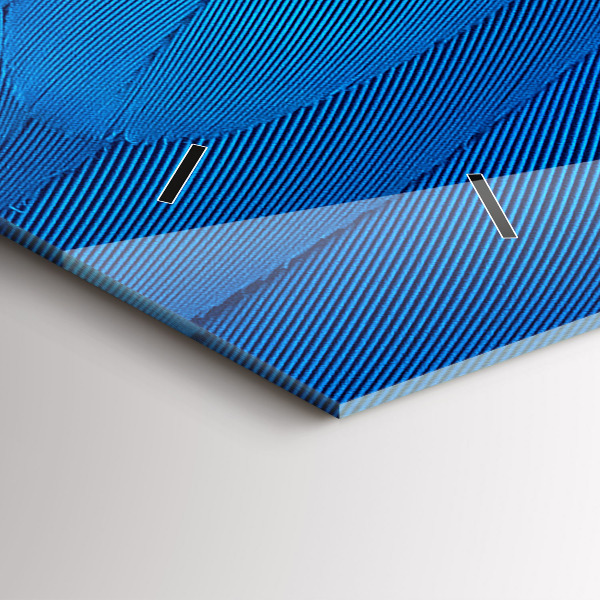 Orologi orizzontali Piuma di uccello