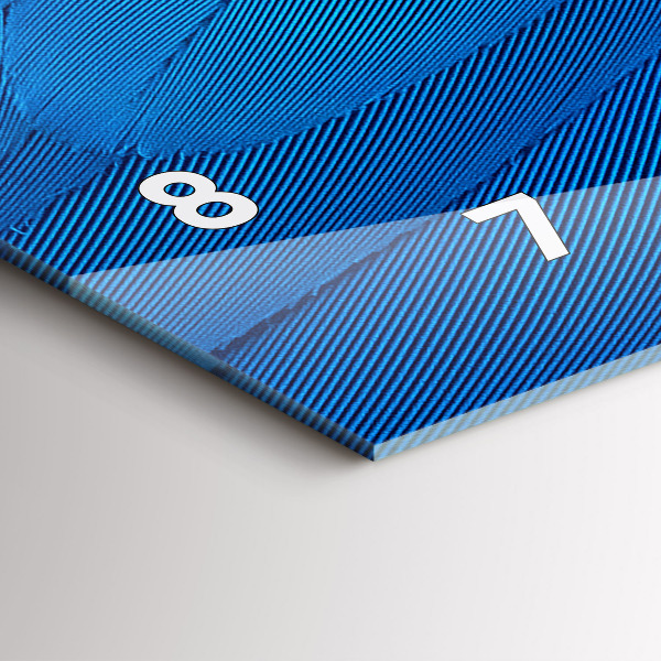 Orologi orizzontali Piuma di uccello