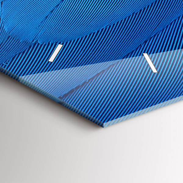 Orologi orizzontali Piuma di uccello