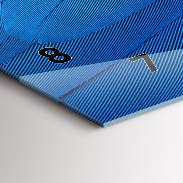 Orologi orizzontali Piuma di uccello