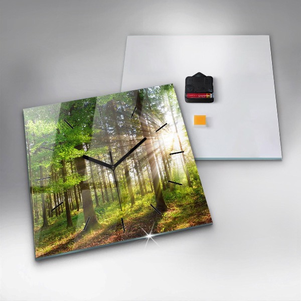 Orologio quadrato in vetro Alba nella foresta