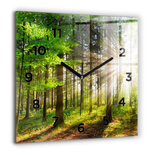 Orologio quadrato in vetro Alba nella foresta