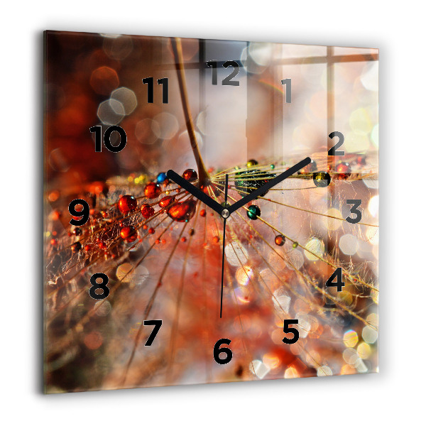 Orologio quadrato Dente di leone con rugiada