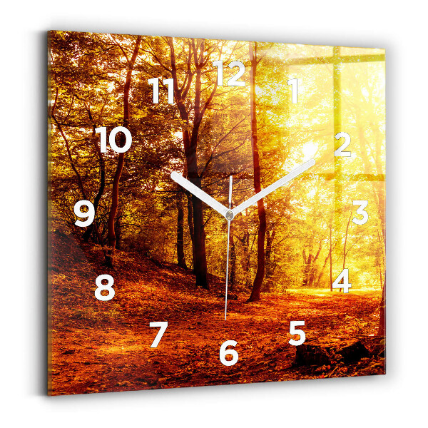 Orologio quadrato in vetro Paesaggio forestale al sole