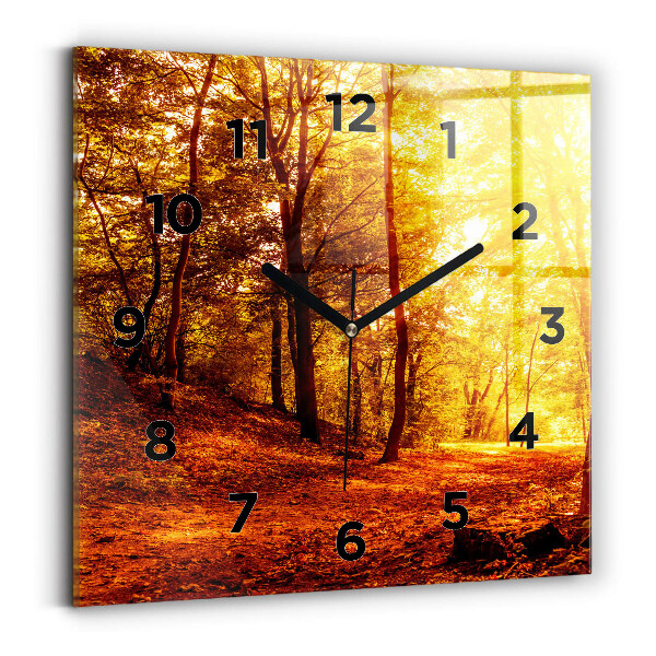 Orologio quadrato in vetro Paesaggio forestale al sole
