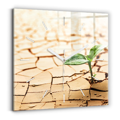 Orologio quadrato Piantare in terreno asciutto