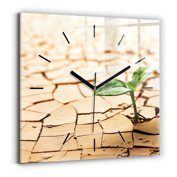 Orologio quadrato Piantare in terreno asciutto