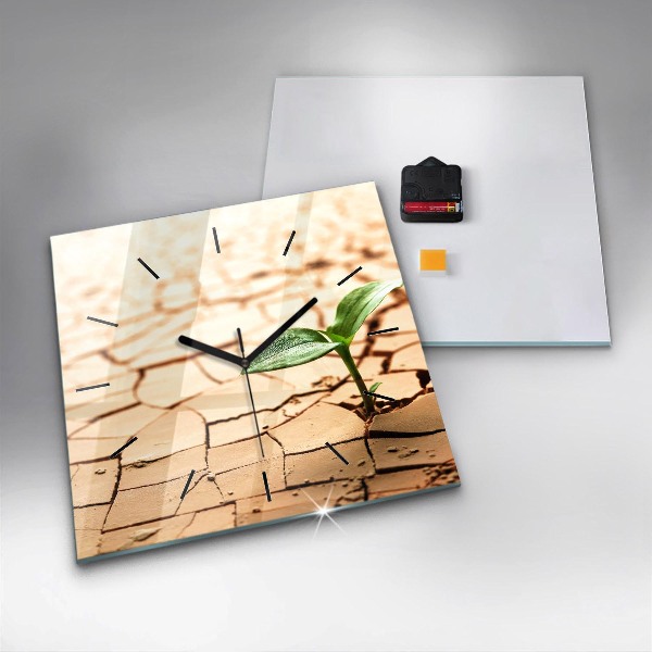 Orologio quadrato Piantare in terreno asciutto