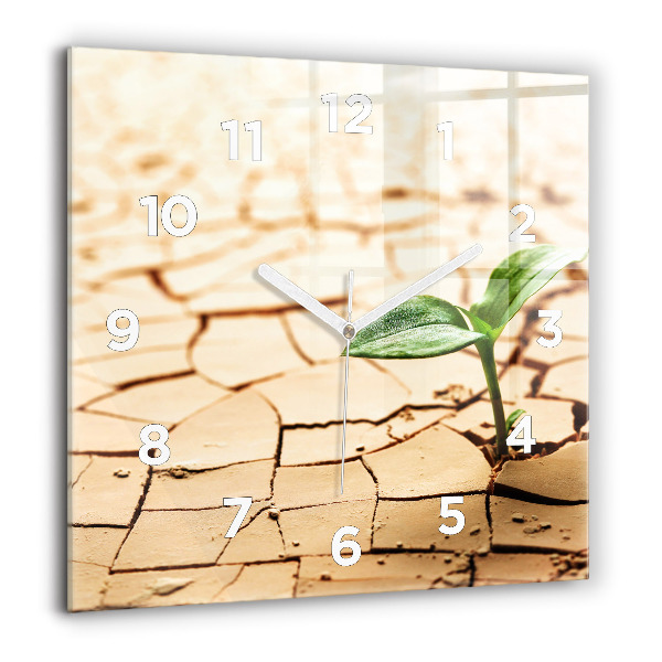 Orologio quadrato Piantare in terreno asciutto