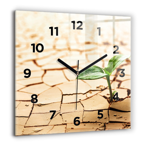 Orologio quadrato Piantare in terreno asciutto