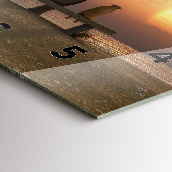 Orologio quadrato Animali e tramonto