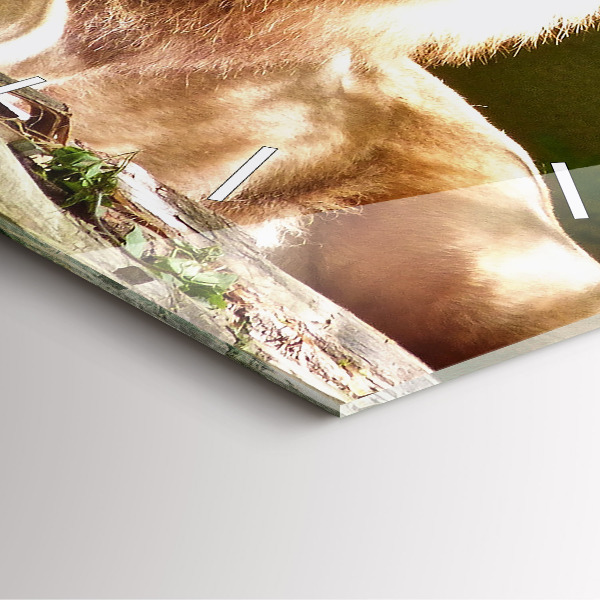 Orologio quadrato Ritratto di un leone