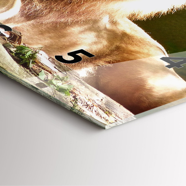 Orologio quadrato Ritratto di un leone