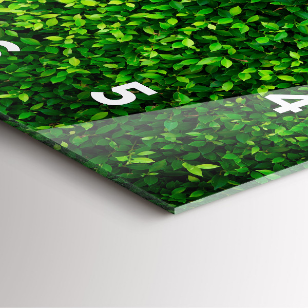 Orologio quadrato in vetro Foglie di siepe