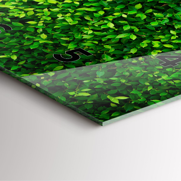 Orologio quadrato in vetro Foglie di siepe