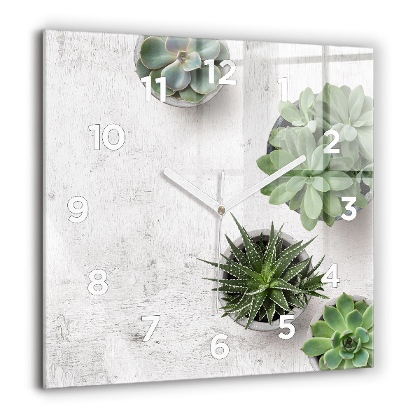 Orologio quadrato in vetro Piante ornamentali
