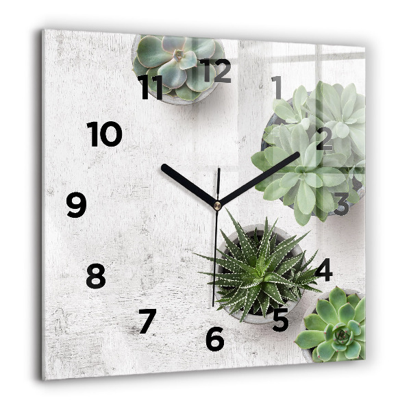 Orologio quadrato in vetro Piante ornamentali
