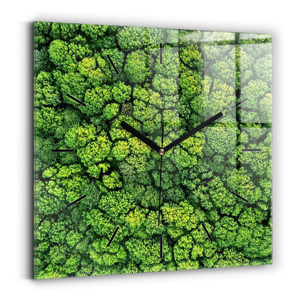 Orologio quadrato in vetro Foresta dall'alto