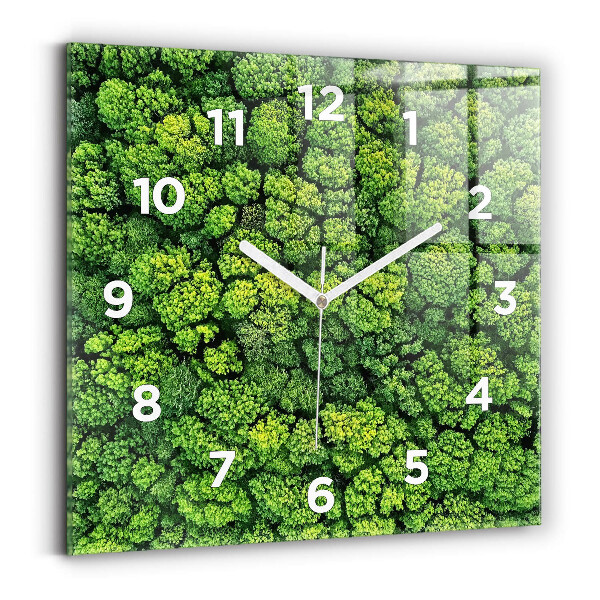 Orologio quadrato in vetro Foresta dall'alto
