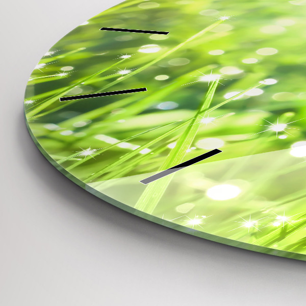 Orologio rotondo Erba verde