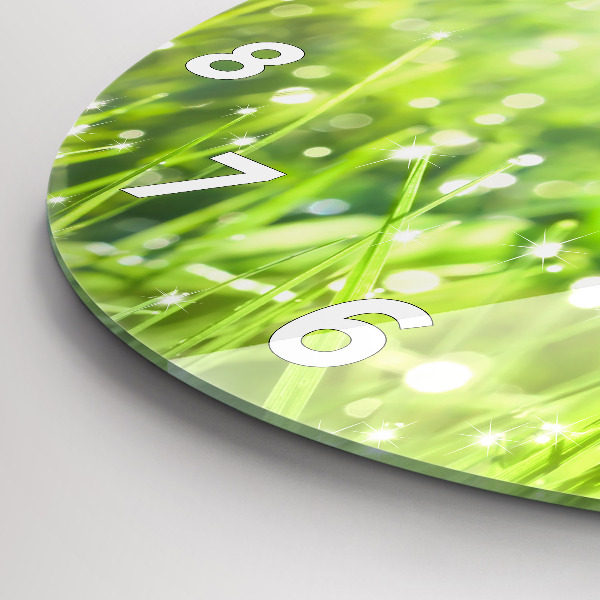 Orologio rotondo Erba verde